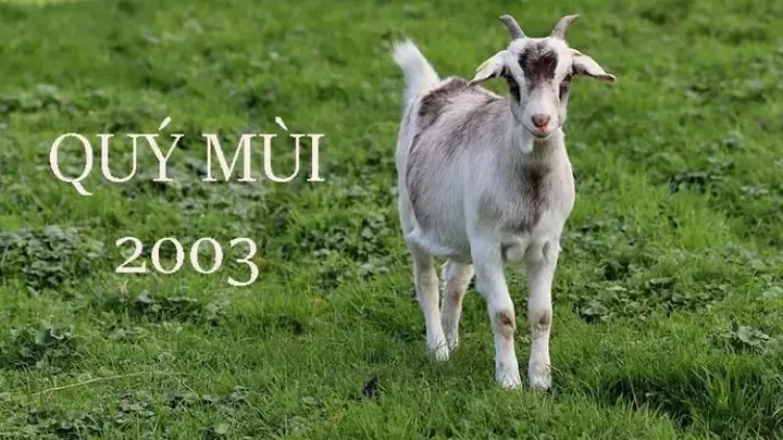 Phong Thủy Tuổi Quý Mùi 2003