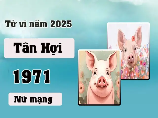 Phong Thủy Tuổi Tân Hợi Nữ Mạng