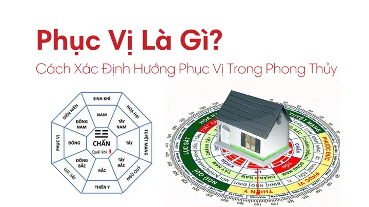 Phục Vị Trong Phong Thủy Là Gì