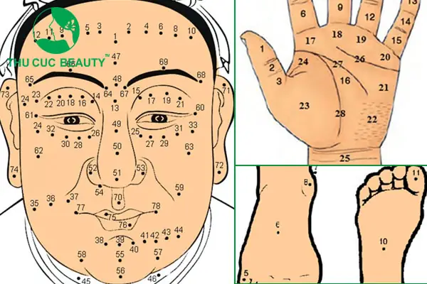 Review Chấm Nốt Ruồi Phong Thủy