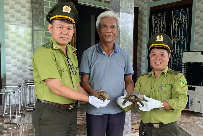 Rùa Núi Vàng Giá Rẻ Ở Thanh Hoá