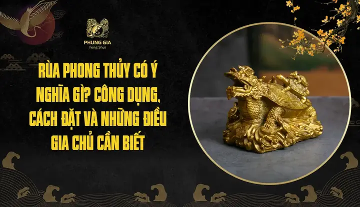 Rùa Phong Thủy Có Ý Nghĩa Gì