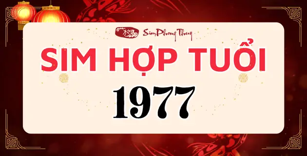 Sim Phong Thủy Hợp Tuổi 1977