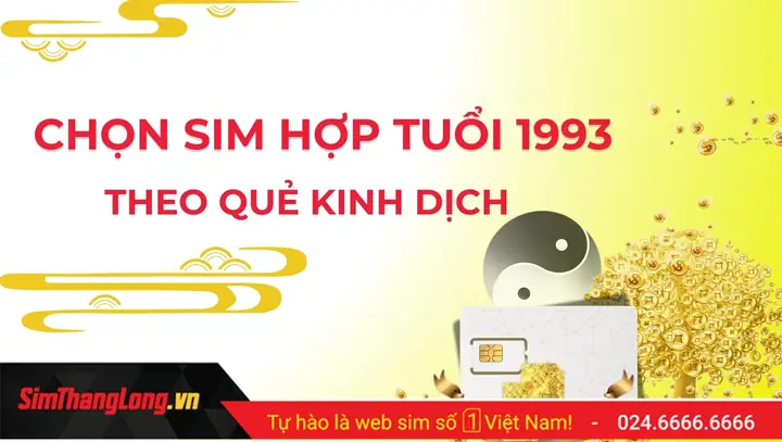 Sim Phong Thủy Hợp Tuổi 1993
