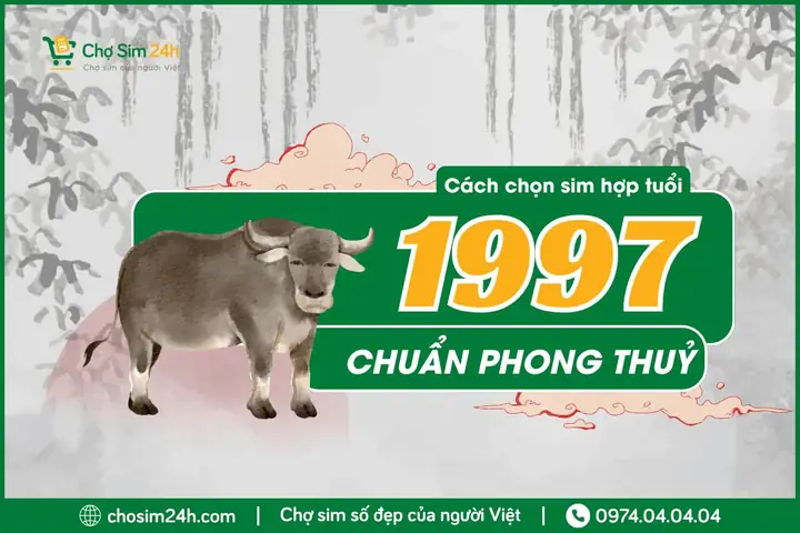 Sim Phong Thủy Hợp Tuổi 1997