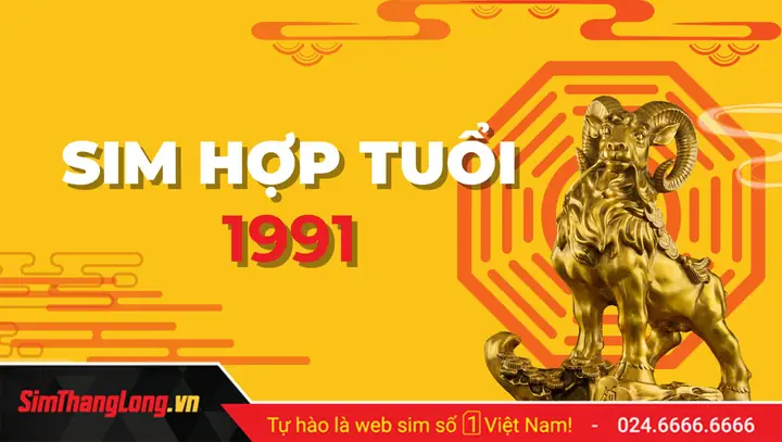 Sim Phong Thủy Hợp Với Tuổi Năm 1991