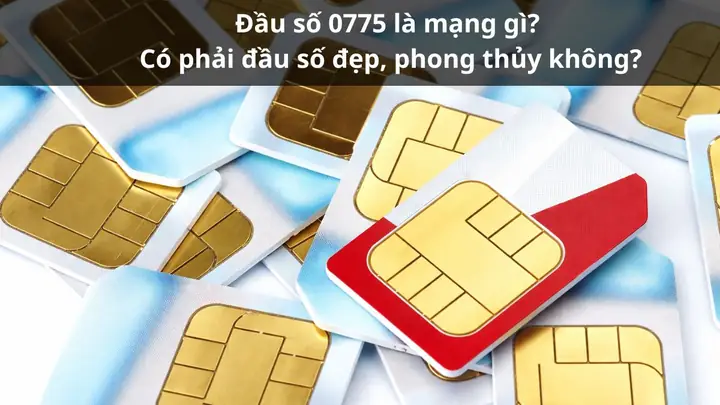 Sim Số Đẹp Phong Thủy Là Gì