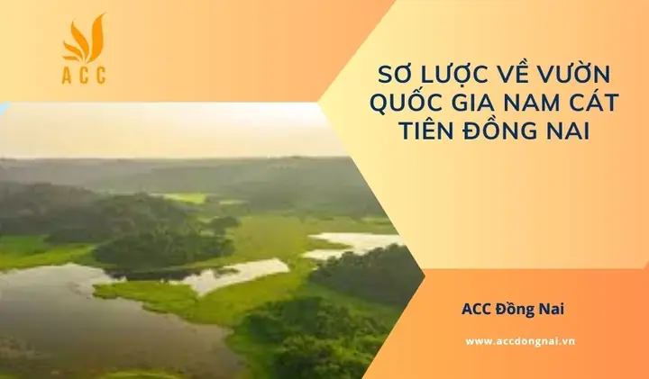 Sơ Lược Về Lịch Sử Giá Vàng