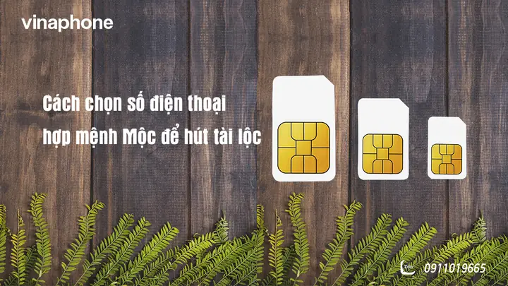 Số Phong Thủy Hợp Mệnh Mộc