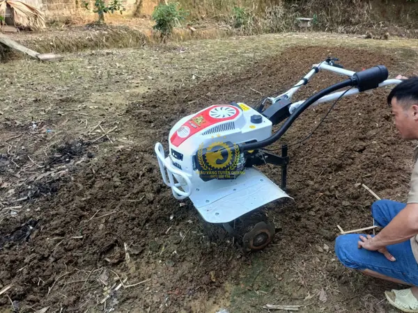So Sánh Giá Máy Xới Trâu Vàng