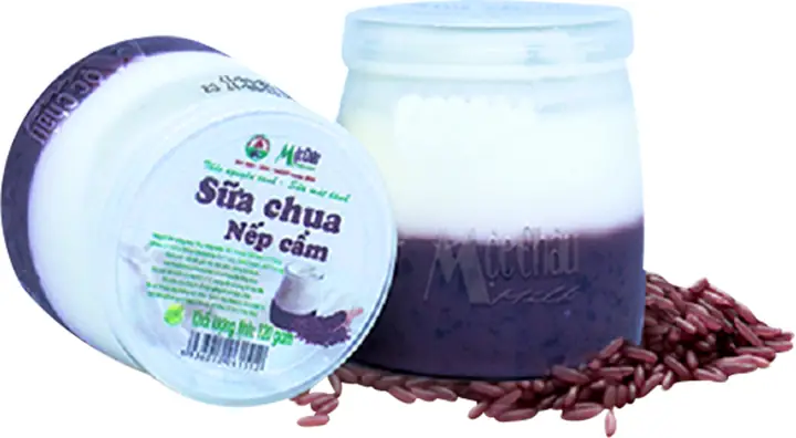 Sua Chua Nep Cam Chi Vàng 200g Giá