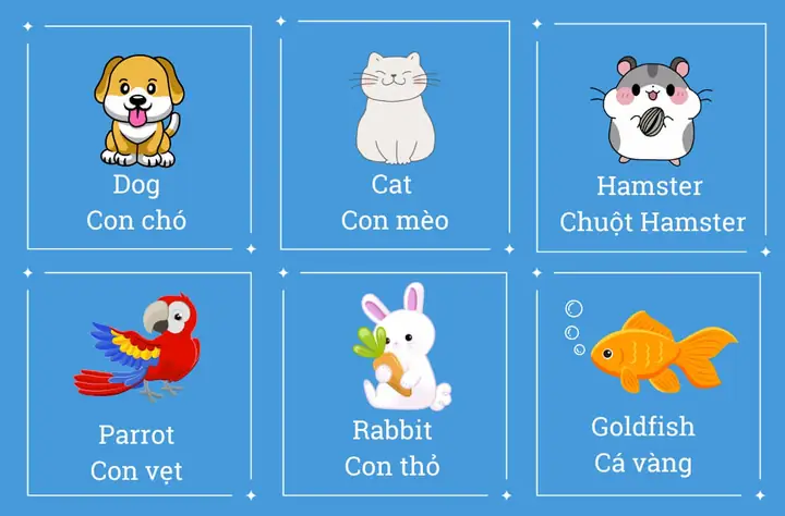 Tại Sao Vàng Được Coi Là Vật Ngang Giá Chung