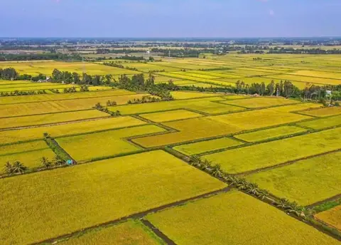 Thời Gian Vàng Tăng Giá Cao Nhất Thế Giới