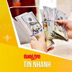 Tỉ Giá Vàng Ngân Hàng Tien Phong