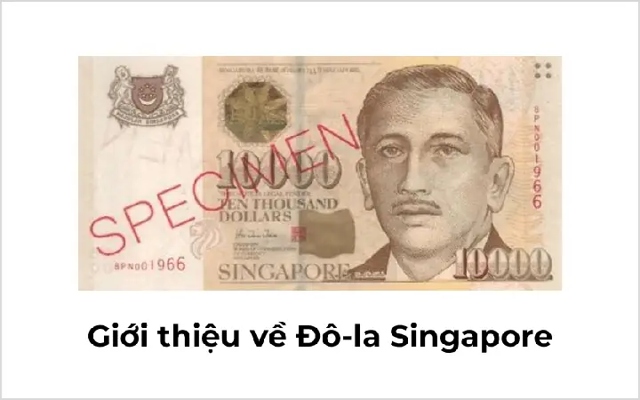 Tiỉ Giá Đổi Tiền Singapore Tại Tiệm Vàng