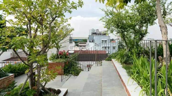 Trồng Cây Cảnh Trên Sân Thượng Hợp Phong Thủy