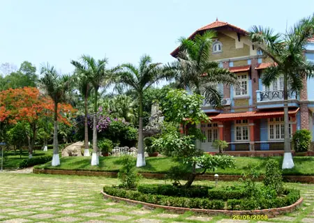 Trồng Cây Quanh Nhà Theo Phong Thủy