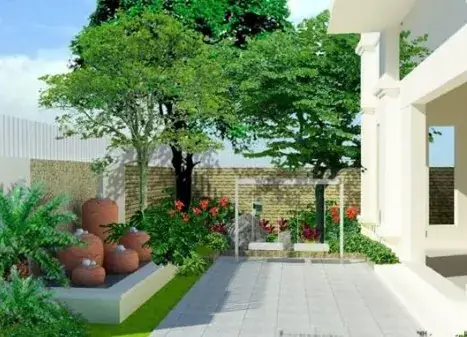Trồng Cây Sau Nhà Theo Phong Thủy