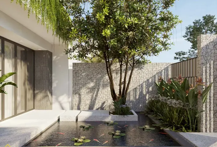 Trồng Cây Theo Phong Thủy Trước Nhà