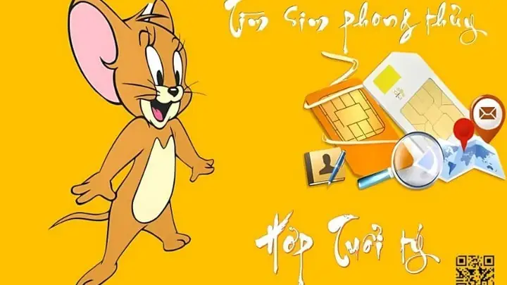 Tư Vấn Chọn Sim Phong Thủy