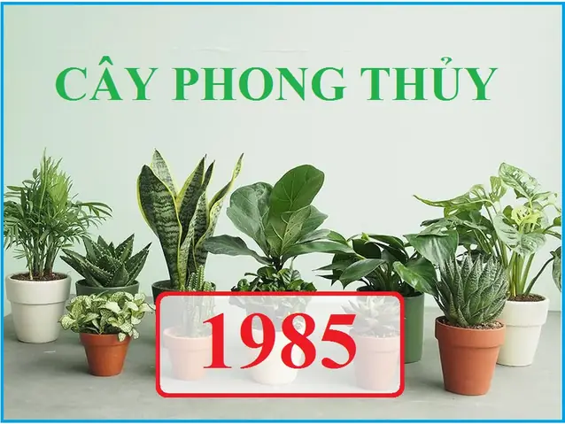 Tuổi Ất Sửu Trồng Cây Gì Hợp Phong Thủy