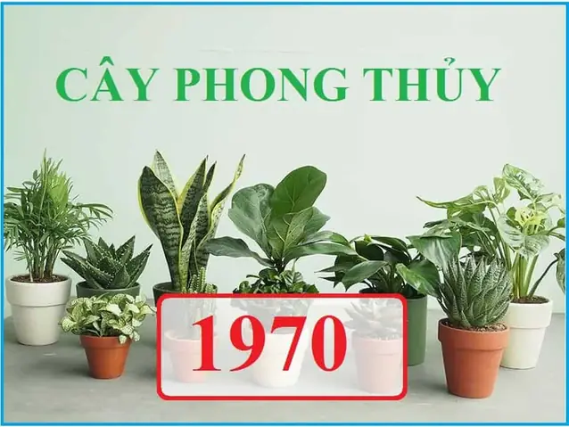 Tuổi Canh Tuất Trồng Cây Gì Hợp Phong Thủy