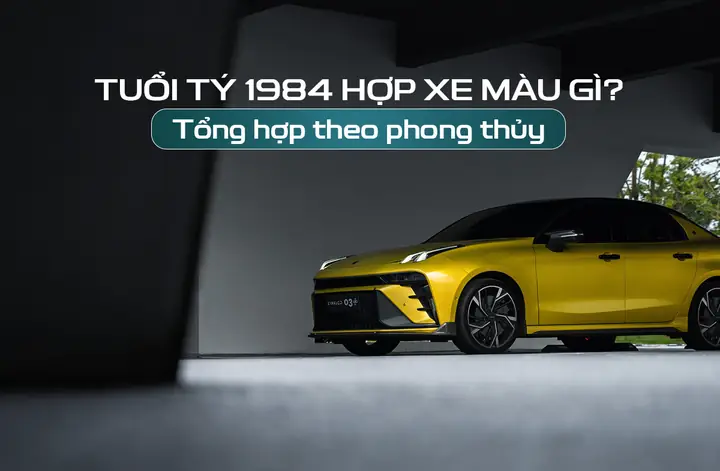 Tuổi Giáp Tý Hợp Màu Gì Theo Phong Thủy