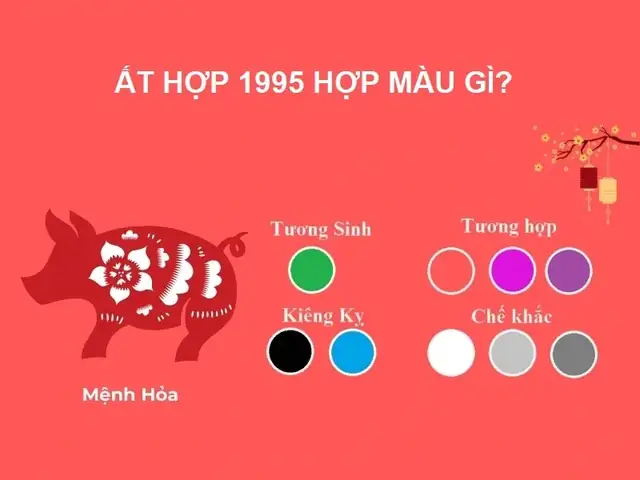 Tuổi Hợi Phong Thủy Hợp Màu Gì
