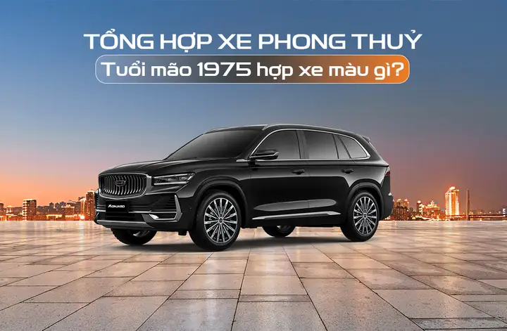 Tuổi Mão Phong Thủy Màu Gì
