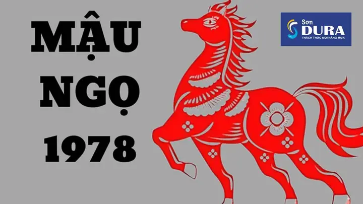 Tuổi Mậu Ngọ Phong Thủy Hợp Màu Gì