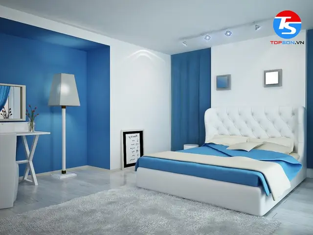 Tuổi Quý Hợi Hợp Phong Thủy Màu Gì