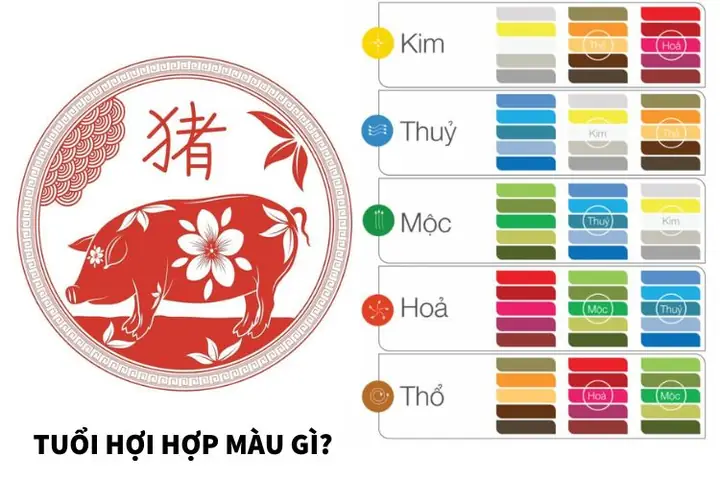 Tuổi Quý Hợi Phong Thủy Hợp Màu Gì
