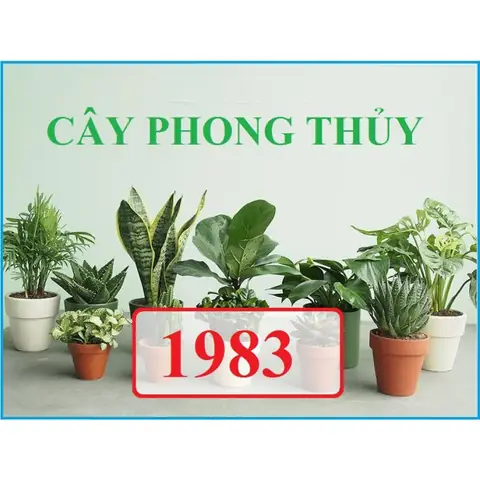 Tuổi Quý Hợi Trồng Cây Gì Hợp Phong Thủy