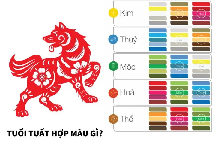 Tuổi Tuất Phong Thủy Hợp Màu Gì