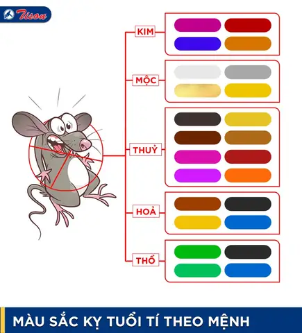 Tuổi Tý Phong Thủy Hợp Màu Gì
