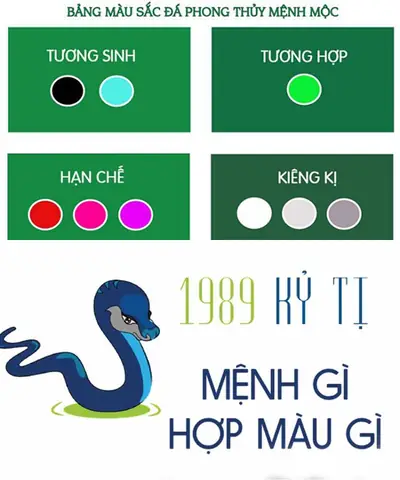 Tuổi Tỵ Phong Thủy Màu Gì