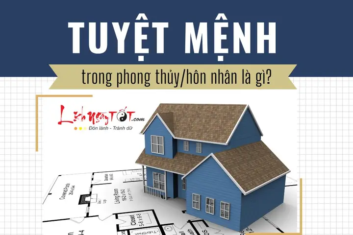 Tuyệt Mệnh Trong Phong Thủy Là Gì
