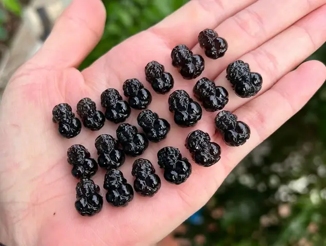 Tỳ Hưu Phong Thủy Tại Hà Nội