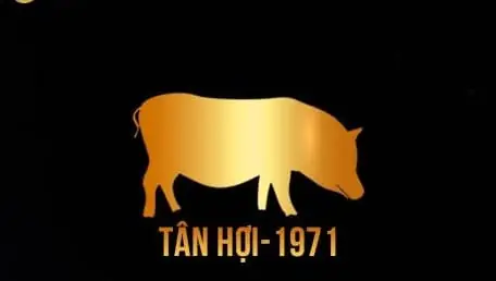 Vật Phẩm Phong Thủy Cho Người Tuổi Tân Hợi
