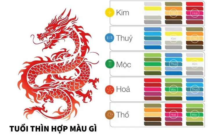 Vật Phong Thủy Tuổi Mậu Thìn