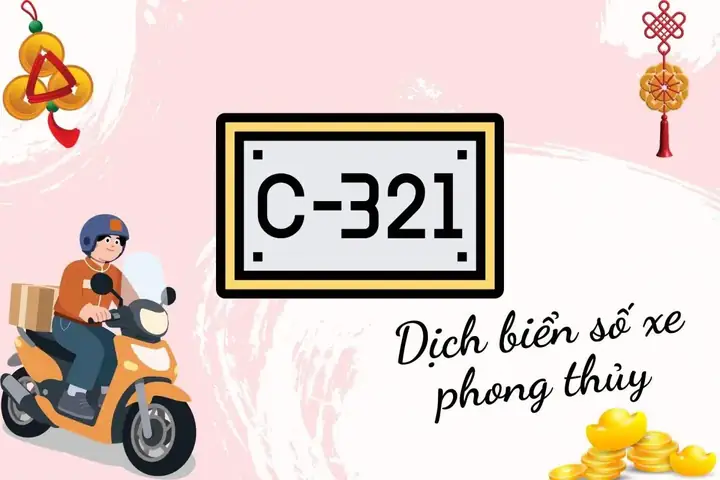 Voi Phong Thủy Có Ý Nghĩa Gì