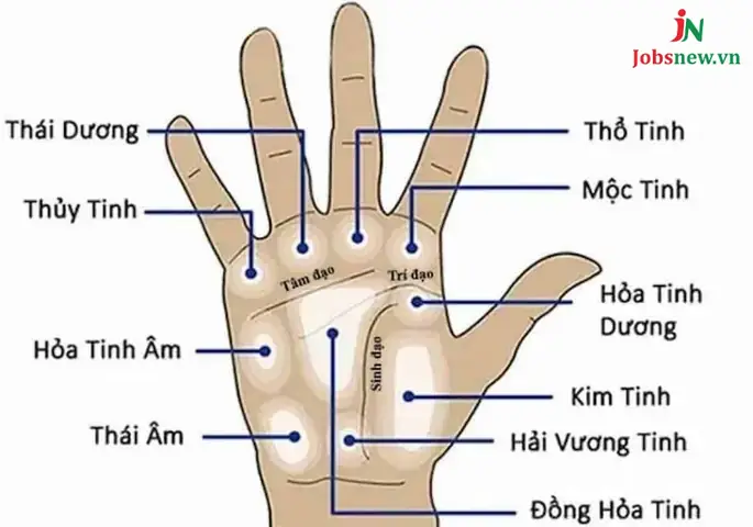 Xăm Nốt Ruồi Phong Thủy Trong Lòng Bàn Tay