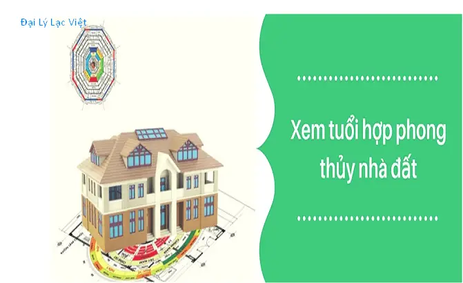 Xem Hướng Nhà Theo Phong Thủy Lạc Việt