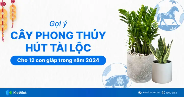 12 Loại Cây Phong Thủy Cho 12 Con Giáp