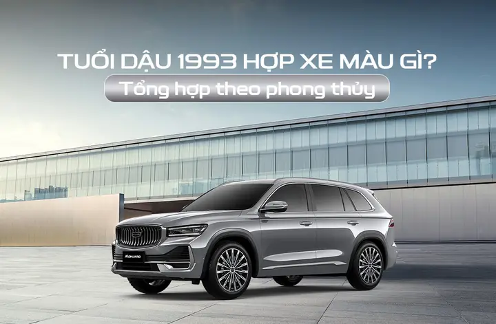 1993 Với 1995 Phong Thủy Hợp Màu Gì