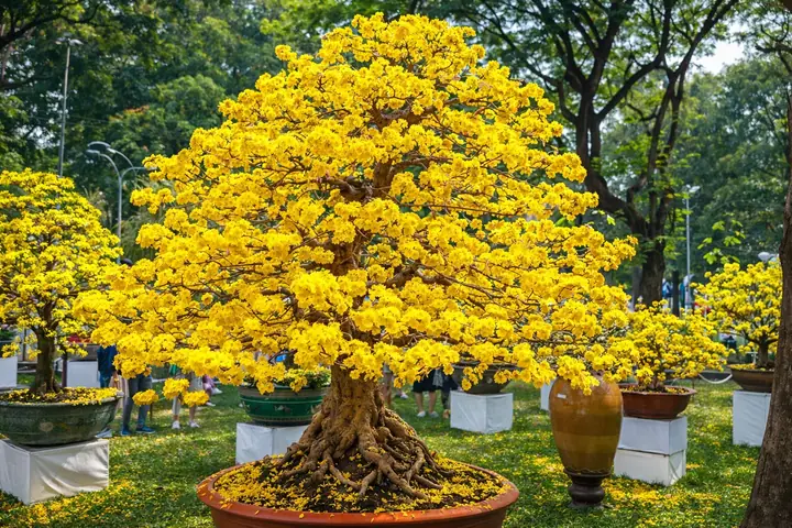 Vị Trí Phong Thủy Quan Trọng Đừng Nên Quên
