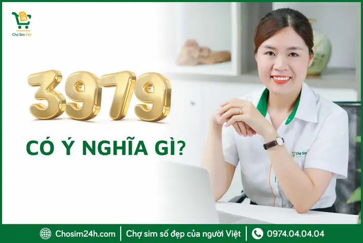 397979 Nghĩa Là Gì Trong Phong Thủy