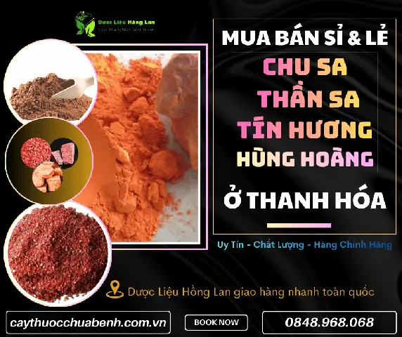 Bán Cây Cảnh Phong Thủy Tại Thanh Hóa