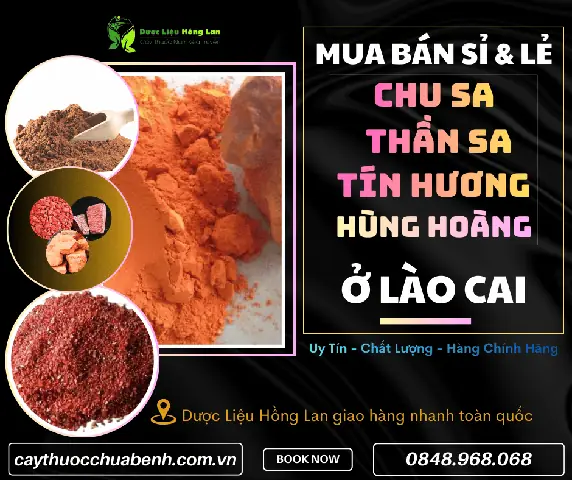 Bán Cây Phong Thủy Tại Lao Cai