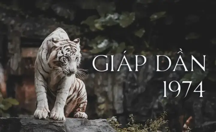 Bàn Ghế Hợp Phong Thủy Tuổi Giáp Dần